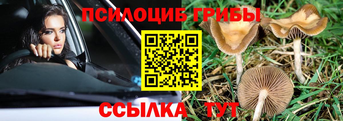 Галлюциногенные грибы мицелий  продажа наркотиков  Верхний Уфалей  Вход с VPN 