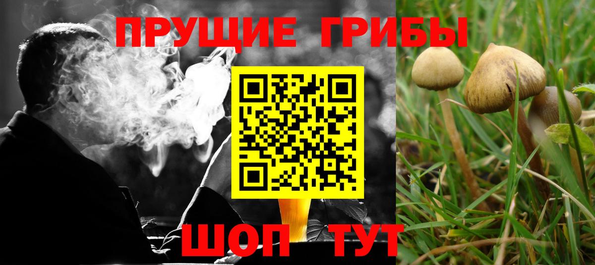 Галлюциногенные грибы прущие грибы Верхний Уфалей